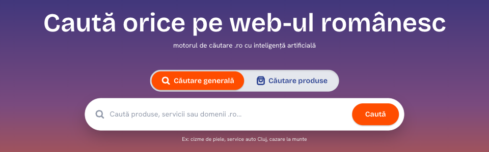 Building HeiLocal, our own AI search engine for the Romanian web